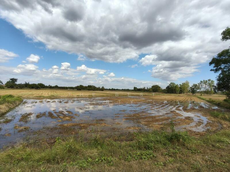 ขาย - ที่ดินกันทรวิชัย มหาสารคาม, มหาสารคาม