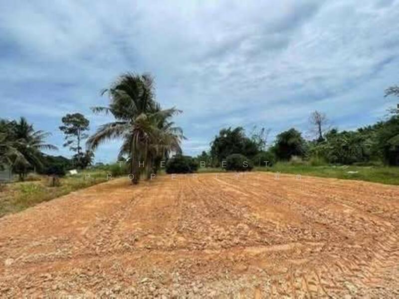 For Sale - ที่ดินนาตาขวัญ ระยอง, Rayong