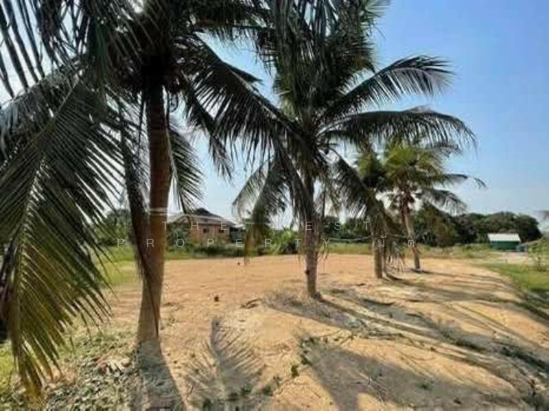 For Sale - ที่ดินนาตาขวัญ ระยอง, Rayong