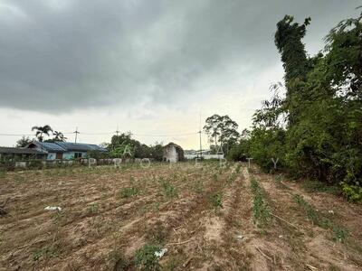 ขาย - ที่ดิน บางพระ ศรีราชา ใกล้อ่างเก็บน้ำ, ชลบุรี
