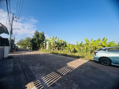 ขาย - ขายที่ดินซอยกิตติพระวงศ์ เมืองหนองคาย, หนองคาย