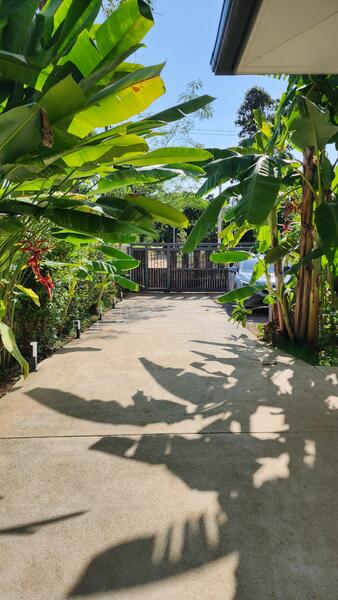 For Sale - TROPICAL SANCTUARY in Lipa Noi, Surat Thani