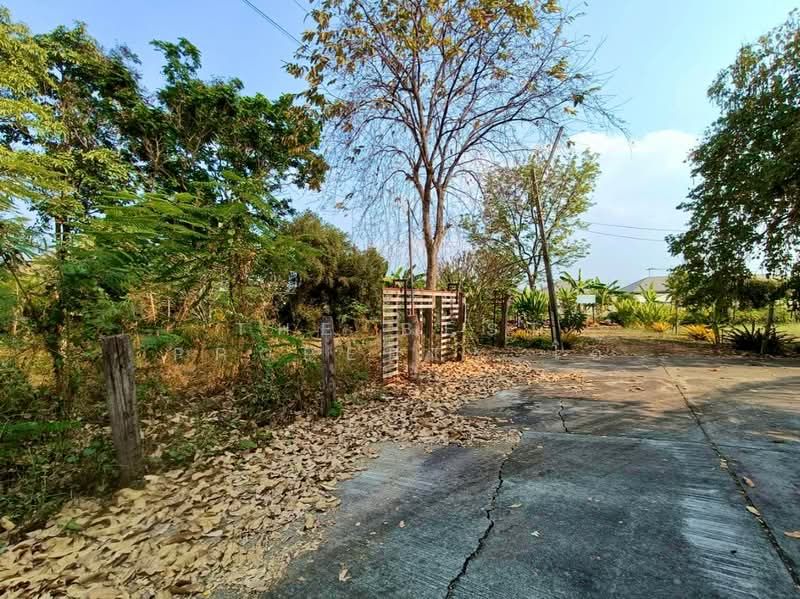 ที่ดินพงสวาย ราชบุรี, ราชบุรี, พงสวาย, เมืองราชบุรี, ราชบุรี, 8,244 ตร.ม., ที่ดิน ขาย, โดย The Best Property โอ๋, 500129693 - DDproperty.com