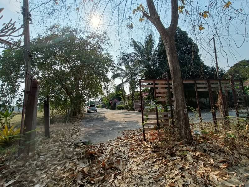 ที่ดินพงสวาย ราชบุรี, Ratchaburi, Pong Sawai, Muang Ratchaburi, Ratchaburi, , 8,244 sqm, Land For Sale, by The Best Property โอ๋, 500129693 - DDproperty.com
