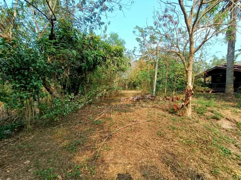 ที่ดินพงสวาย ราชบุรี, Ratchaburi, Pong Sawai, Muang Ratchaburi, Ratchaburi, , 8,244 sqm, Land For Sale, by The Best Property โอ๋, 500129693 - DDproperty.com