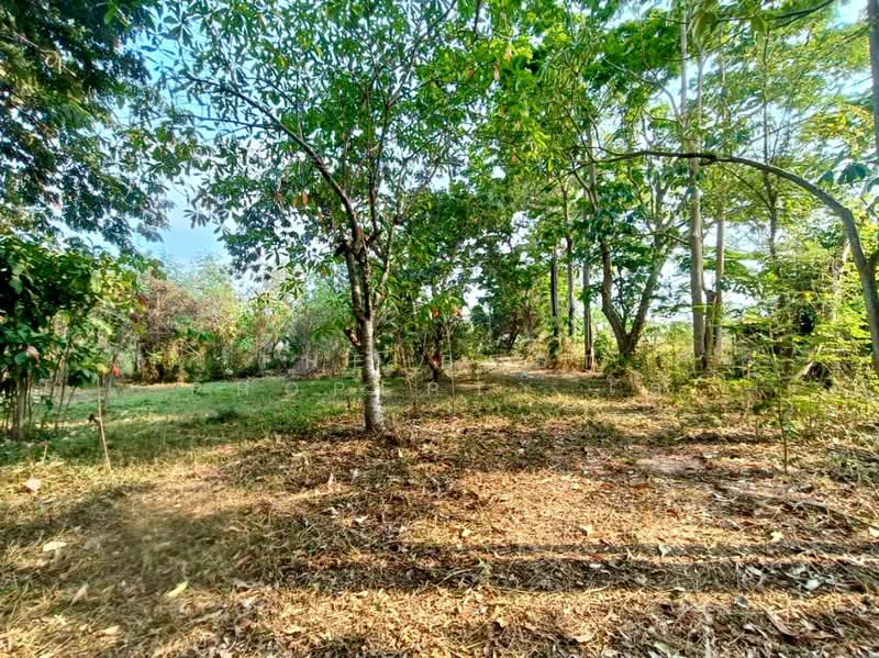 ที่ดินพงสวาย ราชบุรี, Ratchaburi, Pong Sawai, Muang Ratchaburi, Ratchaburi, , 8,244 sqm, Land For Sale, by The Best Property โอ๋, 500129693 - DDproperty.com