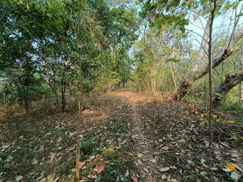 ที่ดินพงสวาย ราชบุรี, ราชบุรี, พงสวาย, เมืองราชบุรี, ราชบุรี, 8,244 ตร.ม., ที่ดิน ขาย, โดย The Best Property โอ๋, 500129693 - DDproperty.com