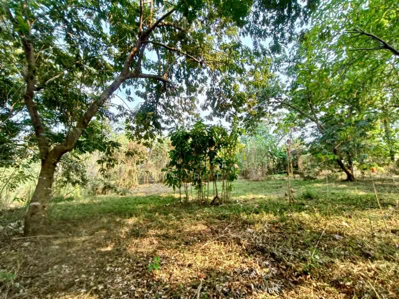 ที่ดินพงสวาย ราชบุรี, ราชบุรี, พงสวาย, เมืองราชบุรี, ราชบุรี, 8,244 ตร.ม., ที่ดิน ขาย, โดย The Best Property โอ๋, 500129693 - DDproperty.com