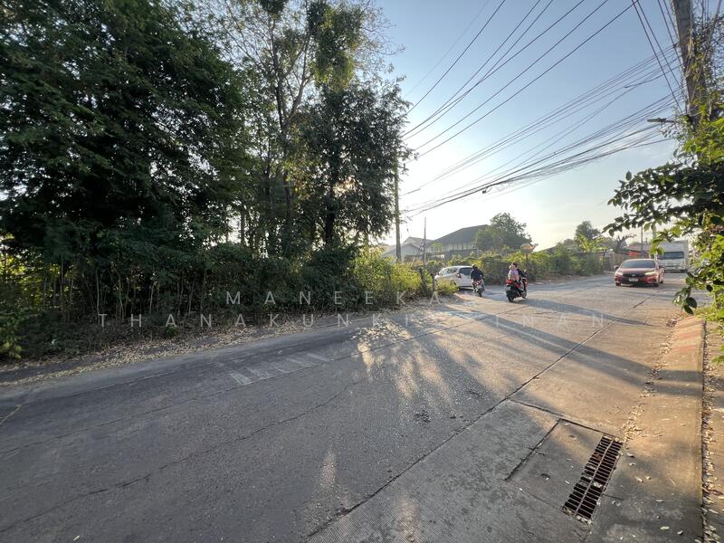 ขาย - ขายที่ดินใกล้ศูนย์ราชการหนองคาย, หนองคาย