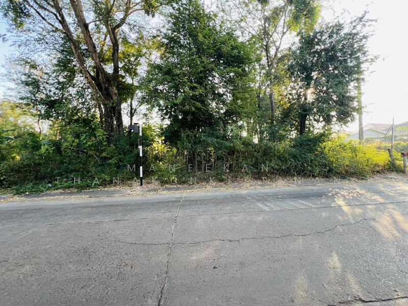 ขาย - ขายที่ดินใกล้ศูนย์ราชการหนองคาย, หนองคาย