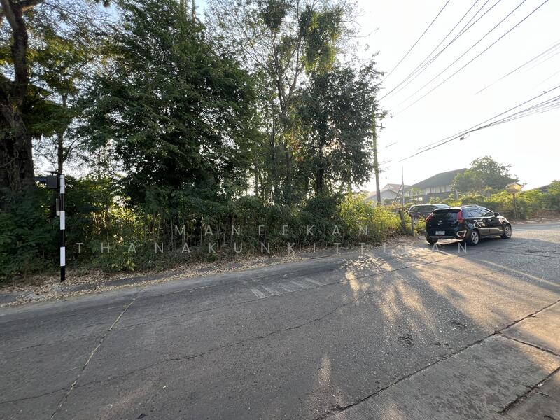 ขาย - ขายที่ดินใกล้ศูนย์ราชการหนองคาย, หนองคาย