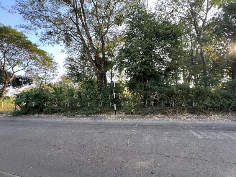 ขาย - ขายที่ดินใกล้ศูนย์ราชการหนองคาย, หนองคาย