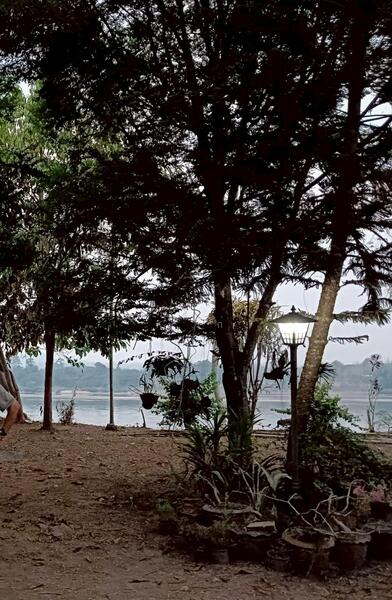 ขาย - ขายที่ดิน, เลย