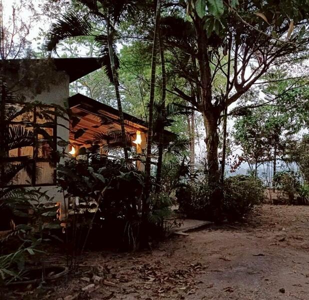 For Sale - land for sell, Loei