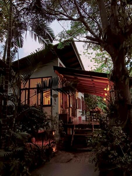 For Sale - land for sell, Loei