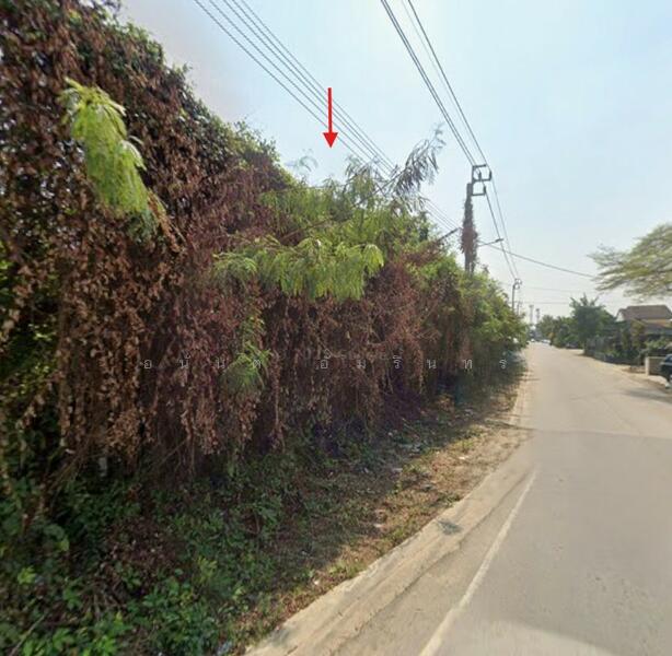 ขาย - ขายที่ดิน 5-3-29.1 ไร่ ติดถนนอัจฉริยะประสิทธิ์ 1 ใกล้เซ็นทรัล เวสต์วิลล์, นนทบุรี