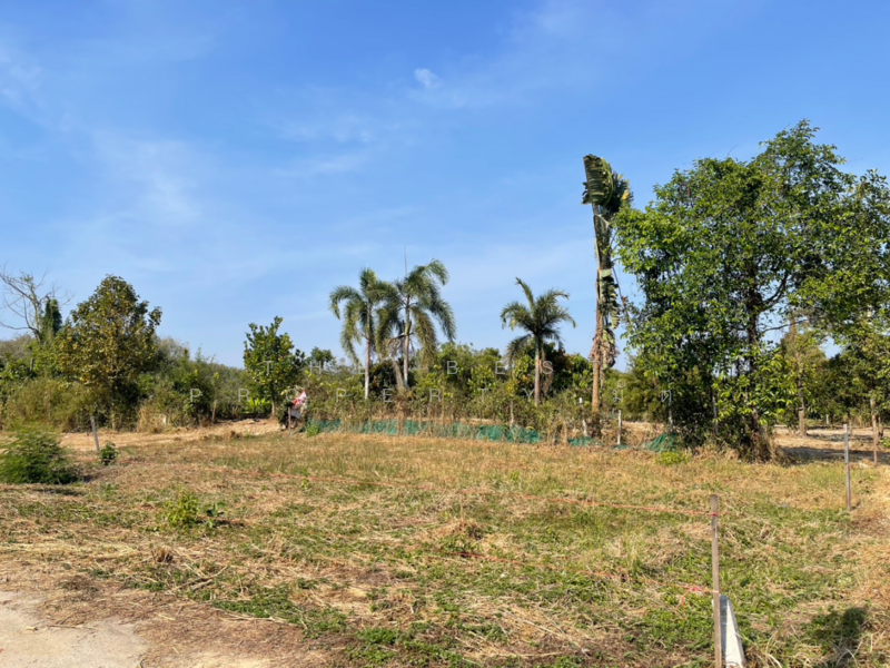 ขาย - ที่ดินตะพง ระยอง, ระยอง