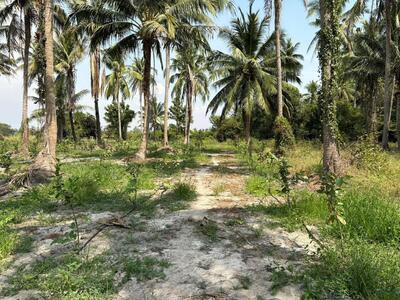 ขาย - ขายที่ดินพร้อมบ้านสวน 10 ไร่ อ.ชะอำ ใกล้ วิทยาลัยการอาชีพวังไกลกังวล 2, เพชรบุรี