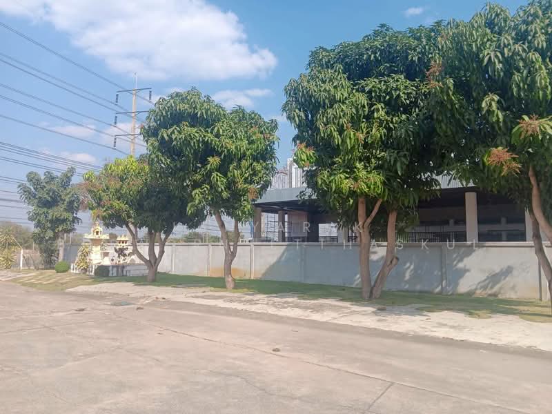 For Sale - ถนนโชคชัย-เดชอุดม ตำบลพลับพลา อำเภอโชคชัย จังหวัดนครราชสีมา, Nakhon Ratchasima