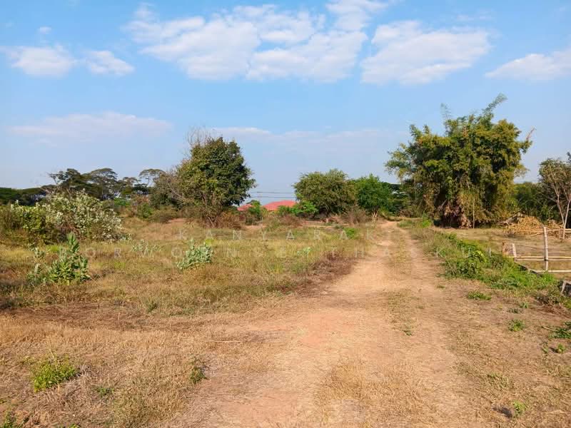 For Sale - ถนนราชสีมา-โชคชัย และถนนทางหลวง 3024 ตำบลด่านเกวียน อำเภอโชคชัย จังหวัดนครราชสีมา, Nakhon Ratchasima