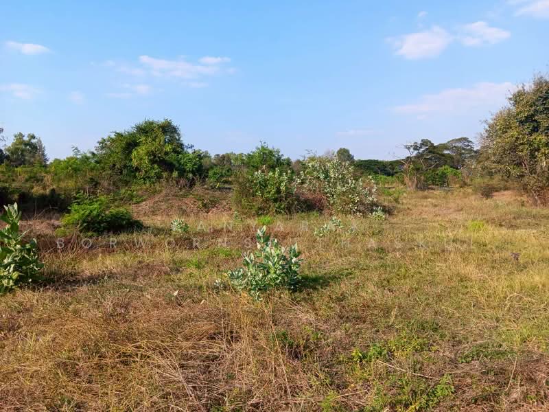 ถนนราชสีมา-โชคชัย และถนนทางหลวง 3024 ตำบลด่านเกวียน อำเภอโชคชัย จังหวัดนครราชสีมา, นครราชสีมา, ถนนราชสีมา-โชคชัย, ด่านเกวียน, โชคชัย, นครราชสีมา, 10,604 ตร.ม., ที่ดิน ขาย, โดย Kanyarak Borwornsetthaskul, 500130498 - DDproperty.com