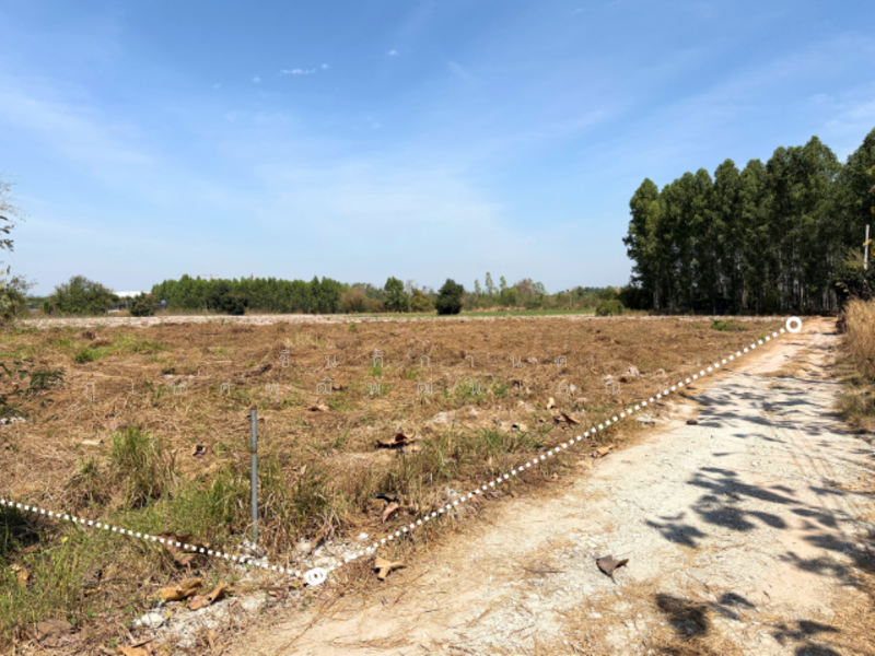 ขาย - ที่ดิน 2 ไร่ บ้านเม็ก พนัสนิคม ถูกกว่านี้หาไม่ได้แล้ว, ชลบุรี