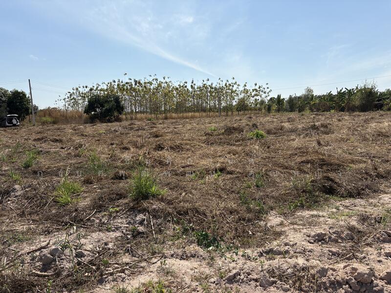 ขาย - ที่ดิน 2 ไร่ บ้านเม็ก พนัสนิคม ถูกกว่านี้หาไม่ได้แล้ว, ชลบุรี