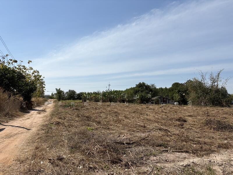 ขาย - ที่ดิน 2 ไร่ บ้านเม็ก พนัสนิคม ถูกกว่านี้หาไม่ได้แล้ว, ชลบุรี