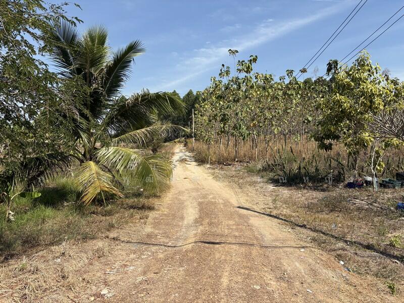 ขาย - ที่ดิน 2 ไร่ บ้านเม็ก พนัสนิคม ถูกกว่านี้หาไม่ได้แล้ว, ชลบุรี