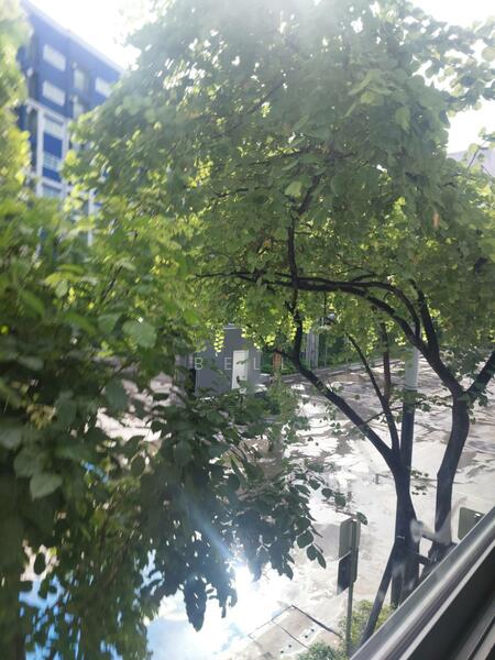 ให้เช่า - Plum Condo Chaengwattana-Donmueang : พลัมคอนโด แจ้งวัฒนะ-ดอนเมือง, กรุงเทพ