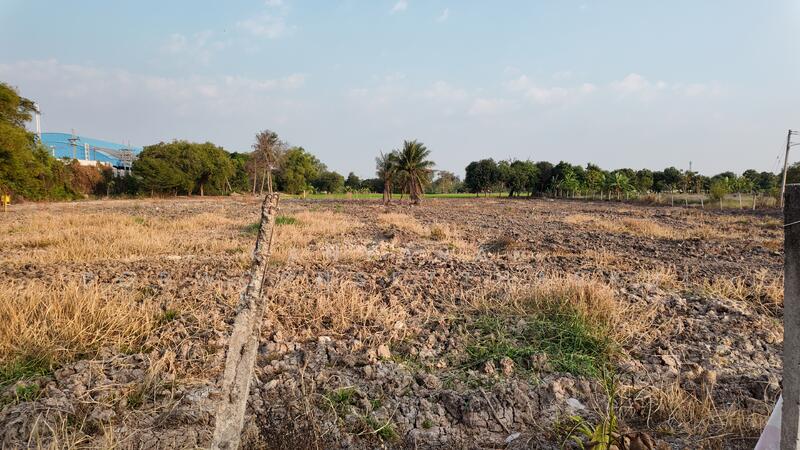 For Sale - ที่ดิน ติดหมู่บ้าน เทอร์ร่า วิลล์ ลาดหลุมแก้ว ตำบลลาดหลุมแก้ว อำเภอลาดหลุมแก้ว จังหวัดปทุมธานี, Pathum Thani