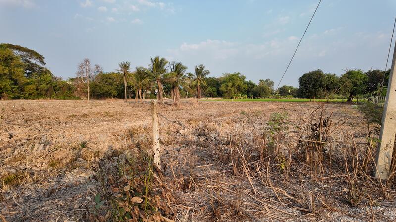ขาย - ที่ดิน ติดหมู่บ้าน เทอร์ร่า วิลล์ ลาดหลุมแก้ว ตำบลลาดหลุมแก้ว อำเภอลาดหลุมแก้ว จังหวัดปทุมธานี, ปทุมธานี