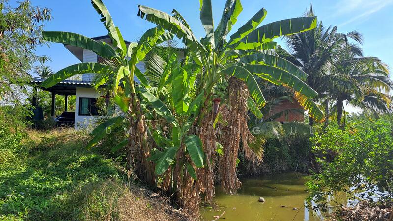 บ้านแพ้ว, สมุทรสาคร, เจ็ดริ้ว, บ้านแพ้ว, สมุทรสาคร, 272 ตร.ม., บ้านเดี่ยว ขาย, โดย Anumas Hangkul, 500130560 - DDproperty.com