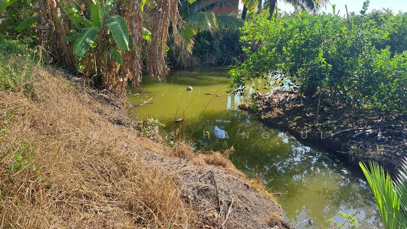 บ้านแพ้ว, สมุทรสาคร, เจ็ดริ้ว, บ้านแพ้ว, สมุทรสาคร, 272 ตร.ม., บ้านเดี่ยว ขาย, โดย Anumas Hangkul, 500130560 - DDproperty.com