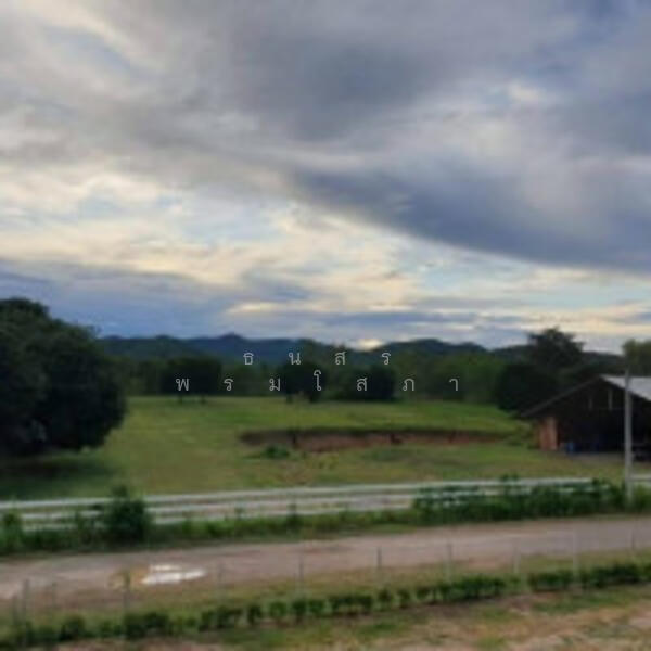 ขาย - แคมป์ปิ้งรีสอร์ท ป่าหวาย สวนผึ้ง, ราชบุรี