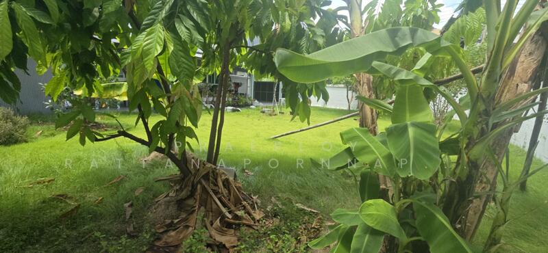 For Rent - Single house, Bangkok