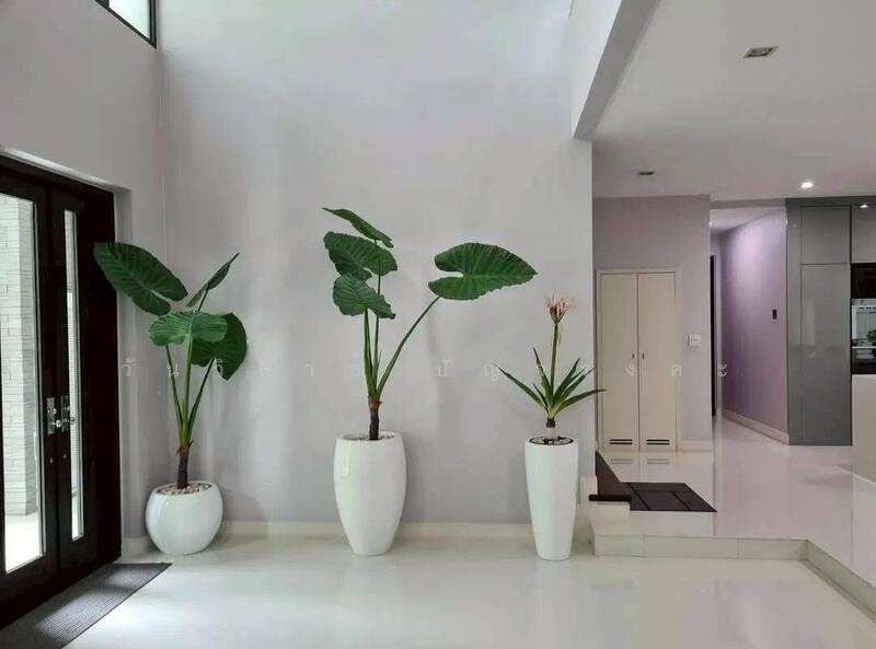 WPDD-057 บ้านเดี่ยว โครงการลดาวัลย์ ราชพฤกษ์-ปิ่นเกล้า, กรุงเทพ, บางระมาด, ตลิ่งชัน, กรุงเทพ, 398 ตร.ม., บ้านเดี่ยว ขาย, โดย วันวิสาข์ ปัญจรงคะ, 500131161 - DDproperty.com