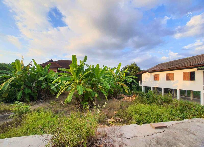 ขาย - ที่ดิน 135 ตรว. บ้านปากบ่อง อ.ป่าซาง จ.ลำพูน, ลำพูน