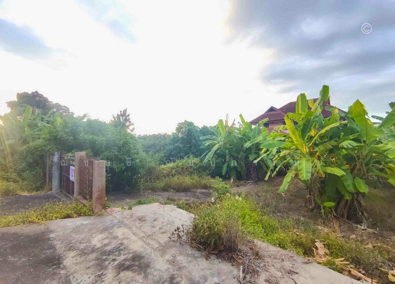 ขาย - ที่ดิน 135 ตรว. บ้านปากบ่อง อ.ป่าซาง จ.ลำพูน, ลำพูน