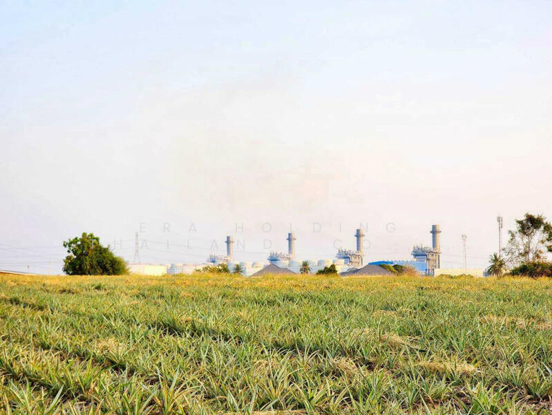 ขาย - อุตสาหกรรมศักยภาพสูง, ระยอง