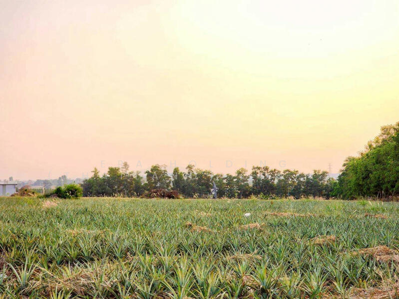 ขาย - อุตสาหกรรมศักยภาพสูง, ระยอง