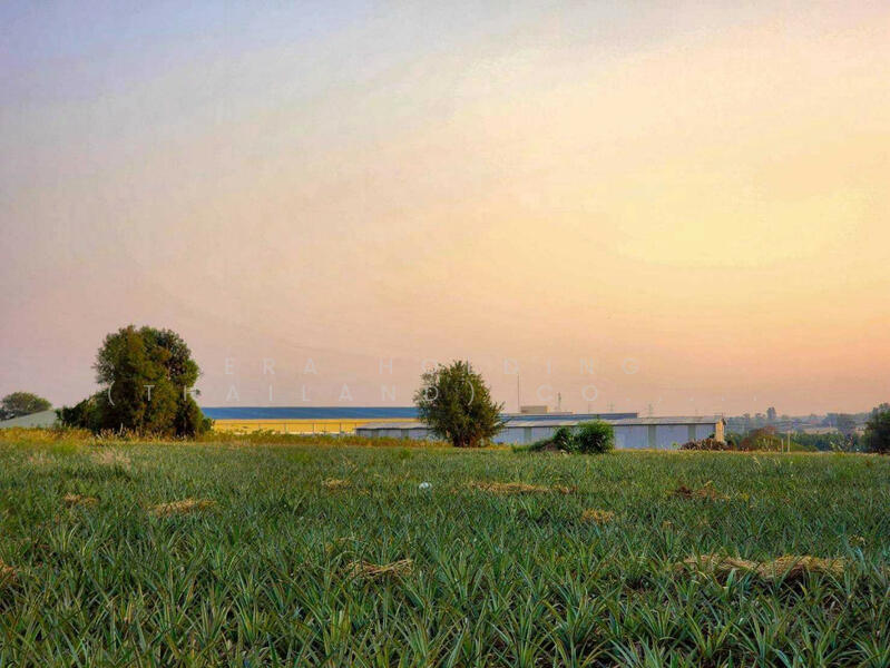 ขาย - อุตสาหกรรมศักยภาพสูง, ระยอง