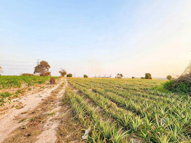 ขาย - อุตสาหกรรมศักยภาพสูง, ระยอง