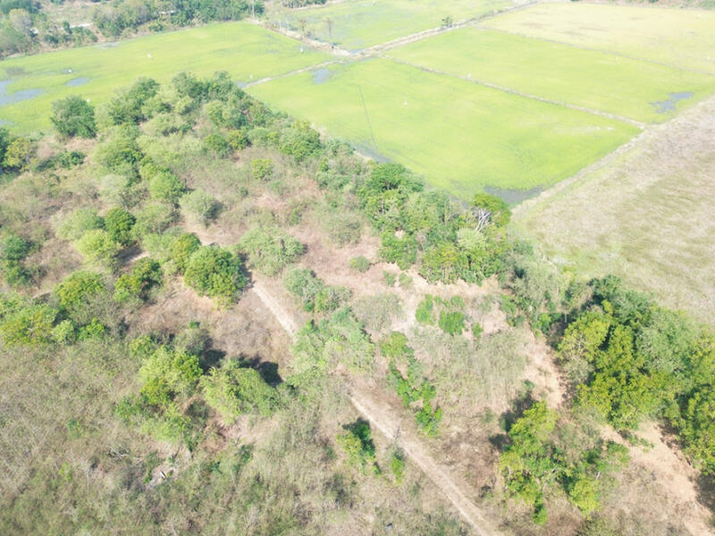 ขาย - ติดเทศบาลโคกพุทรา, อ่างทอง