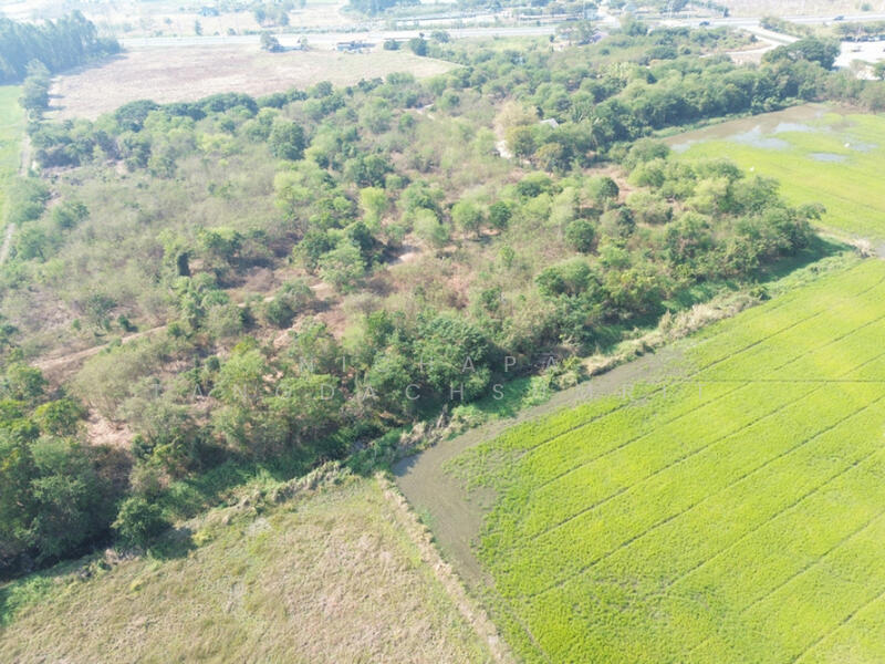 ขาย - ติดเทศบาลโคกพุทรา, อ่างทอง