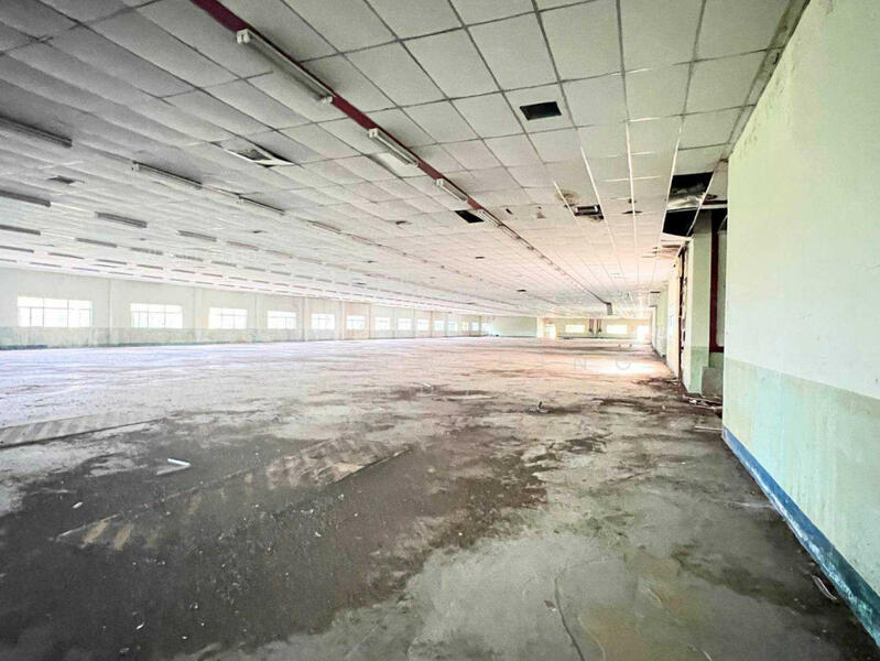 พร้อมโรงงาน​, ปราจีนบุรี, ศรีมหาโพธิ, ศรีมหาโพธิ, ปราจีนบุรี, 50,547 ตร.ม., โกดัง-โรงงาน ขาย, โดย ERA Holding (Thailand) Co., Ltd., 500131406 - DDproperty.com