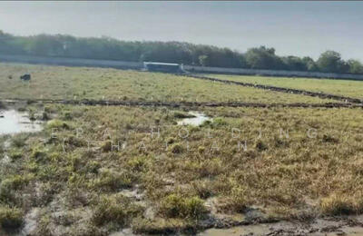 ขาย - ใกล้นิคมโรจนะ อยุธยา, พระนครศรีอยุธยา