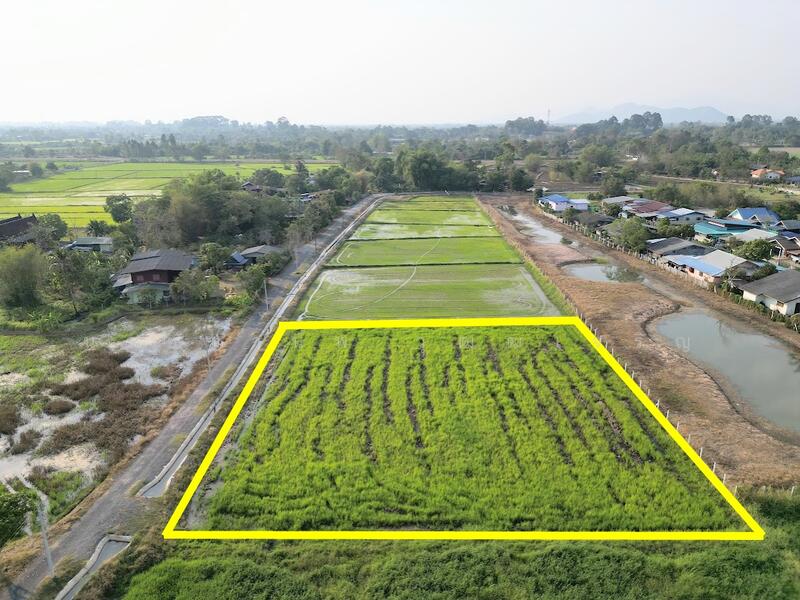 ขาย - ขายที่ดิน ทางขึ้นเขาใหญ่ วิวภูเขา คูน้ำไหลผ่าน ในแหล่งชุมชน, นครนายก