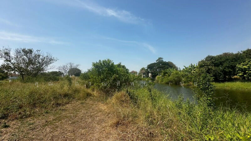 ขาย - ที่ดินเปล่า ถมแล้ว 105.2 ตร.วา หมู่บ้าน การ์เด้นลากูน่า ติดทะเลสาบ, ฉะเชิงเทรา