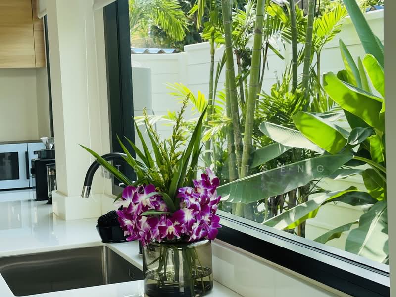 Pridi 26 pool villa !private Villa, Bangkok, Khlong Tan Nua, Watthana, Bangkok, 3 Bedrooms, 260 sqm, Single Detached House For Rent, by Thatsawan Tseng, 500131887 - DDproperty.com